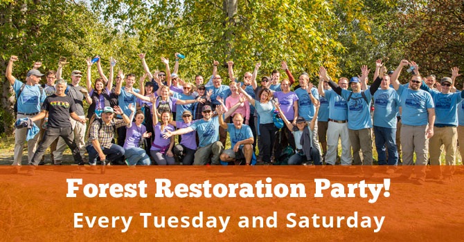 Restoration Volunteers