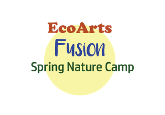 fusion camp 19 blog image