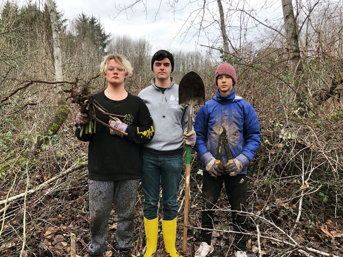 High school students from Camp Fire of Puget Sound removing invasive blackberry roots.