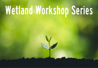 workshop series