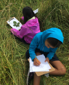 The Delridge Wetland Park serving as an outdoor classroom for children in a class taught by DNDA in 2016.