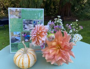 Information on the Delridge Wetland Park project with fall decorations.