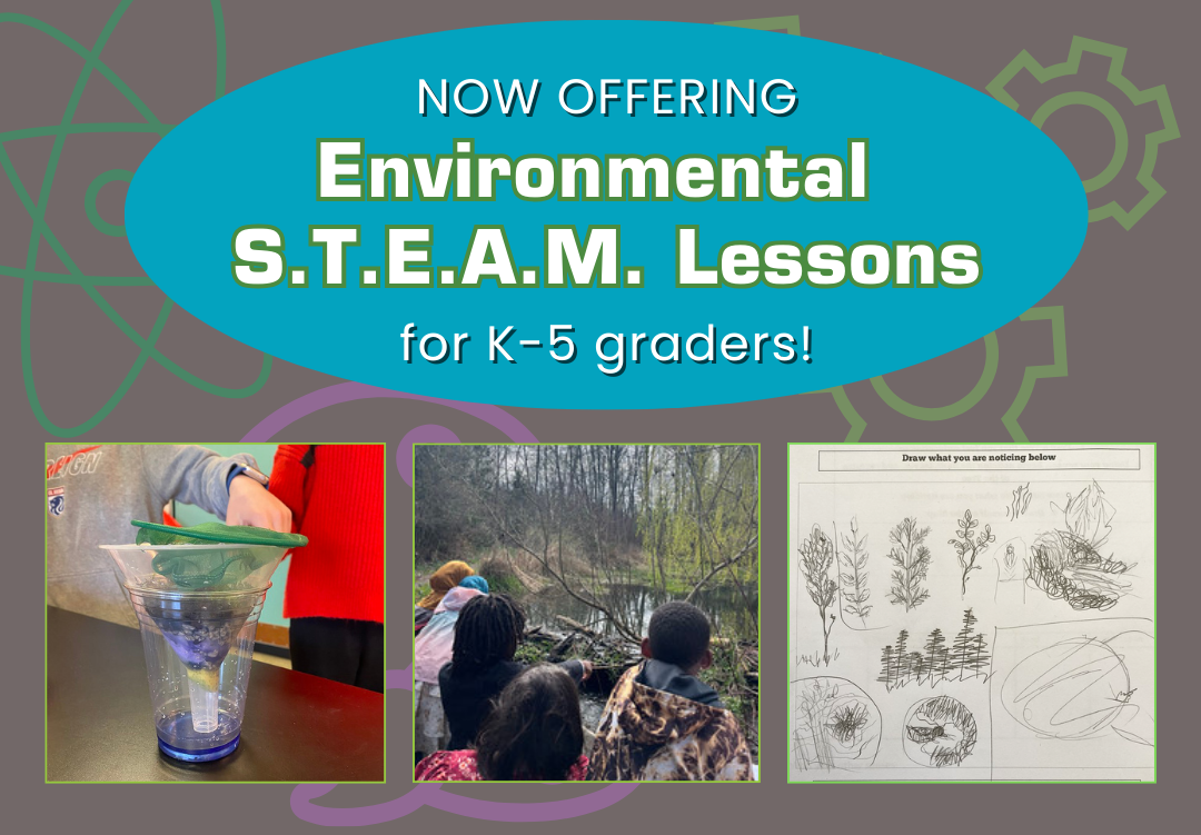 STEAM Lessons graphic with photos
