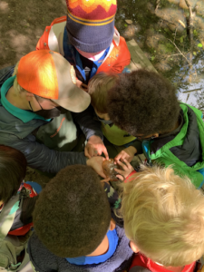 A group of preschoolers surrounding Jules as they admire salamander eggs at Camp Long in 2022. 