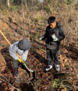 Fifth graders from Fairmount Park Elementary planting ferns at Camp Long at a DNDA restoration event.