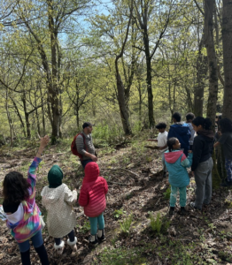 Youth explore restoration sites at Camp Long during DNDA's Spring Nature Camp.