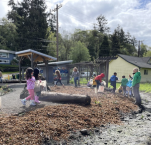 Kindergarteners from Louisa Boren STEM K-8 school move buckets of wood chip mulch at our restoration site at Delridge Wetland Park.