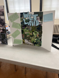 Pictured here an example of one of our EJ intern's Community Action Project. It is a tri-fold poster board titled 'Wetland' with pictures of nature on the center and index cards all over. The intern's focus was on the importance of wetlands in our local environment, what challenges they face, and how to make sure we can add more into our green spaces in our future!