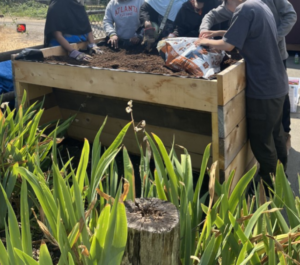 A photo of volunteers adding soil to the accessible garden bed.