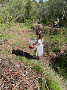 Little girl wearing a rainbow tutu wearing pink gloves holding a bucket while picking up weeds next to other younger students.