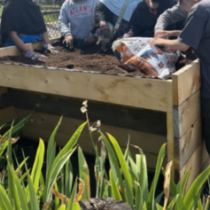 A photo of volunteers adding soil to the accessible garden bed.